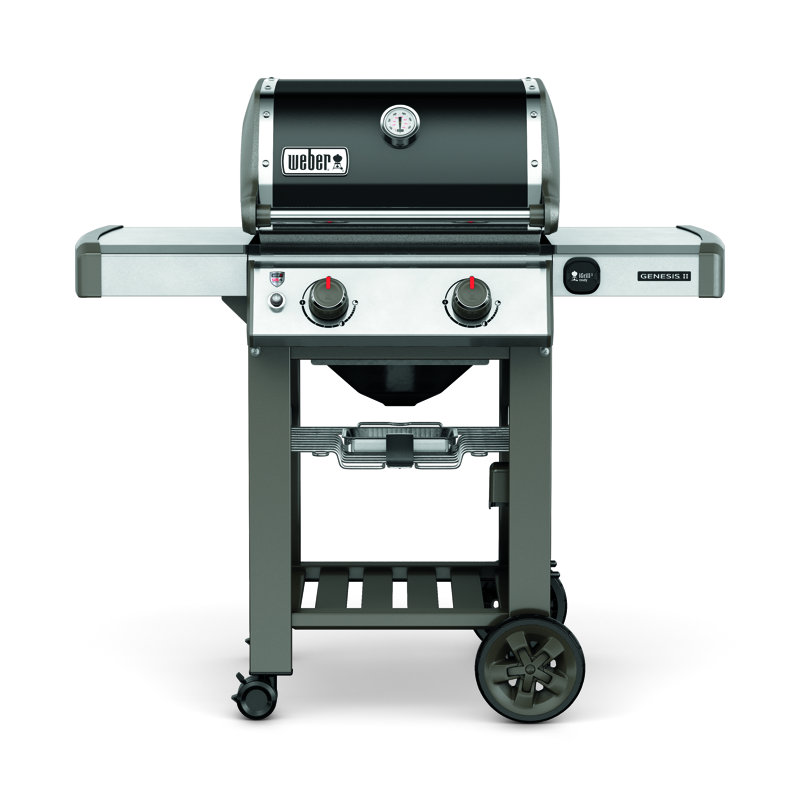 Weber Genesis II E210 2Burner Natural Gas Grill & Reviews Wayfair